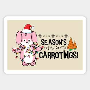 Seasons Carrotings! Magnet